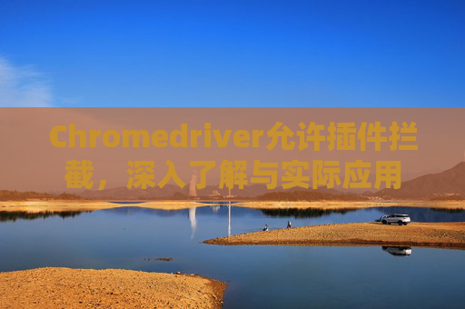 Chromedriver允许插件拦截，深入了解与实际应用