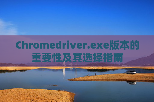 Chromedriver.exe版本的重要性及其选择指南