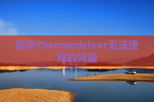 解决Chromedriver无法使用的问题
