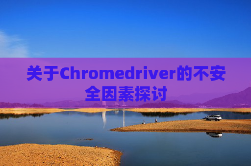 关于Chromedriver的不安全因素探讨