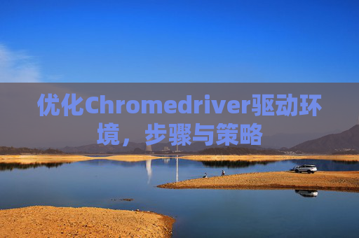 优化Chromedriver驱动环境，步骤与策略